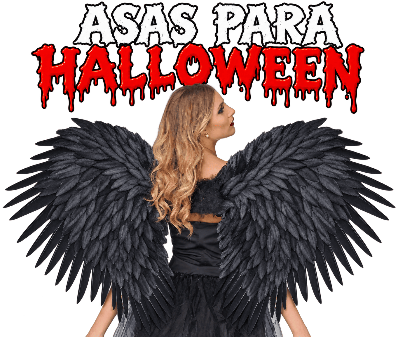 ✅Asas para o Halloween