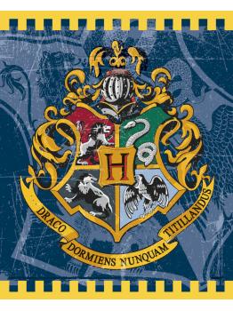 8 bolsas de chucherías de regalo Harry Potter - Hogwarts Houses