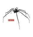 Araña Viuda negra moldeable 110 cm