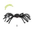 Araña Animada luminosos y sonido 165 cms
