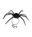 Araña moldeable de 50 cm.