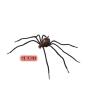 Araña rojiza moldeable 86 cm