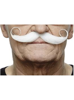 Bigote francés canoso elegante para hombre