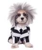 Disfraz de Beetlejuice para perro