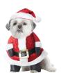 Disfraz de Papá Noel para perro