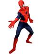 Disfraz de Spiderman Deluxe Morphsuit