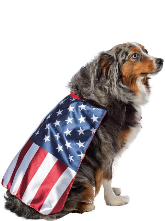 Disfraz de bandera de Estados Unidos para perro