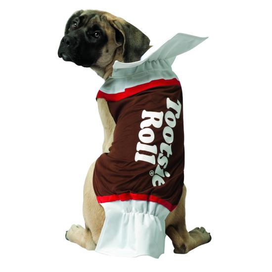 Disfraz de dulce de chocolate para perro