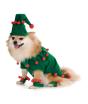 Disfraz de elfo navideño para perro