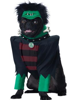 Disfraz de frankenperro para perro