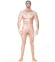 Disfraz de hombre censurado Morphsuit