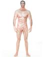 Disfraz de hombre censurado Morphsuit