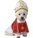 Disfraz de papa para perro