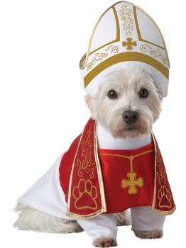 Disfraz de papa para perro