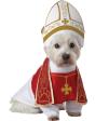 Disfraz de papa para perro