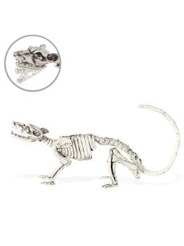 Esqueleto de ratón