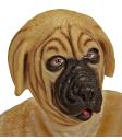 Máscara de perro mastín inglés para adulto