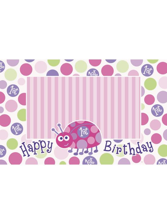 Set de 1º cumpleaños mariquita rosa