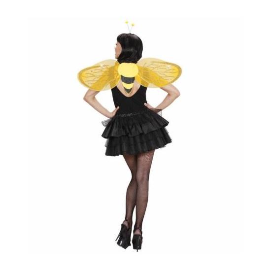 Conjunto de fantasia de abelha