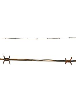 Arame Farpado 210cm