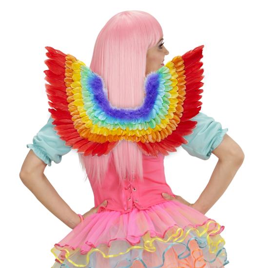 Asas de penas arco-íris 60 x 40 cm