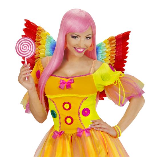 Asas de penas arco-íris 60 x 40 cm