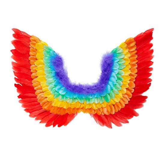 Asas de penas arco-íris 60 x 40 cm