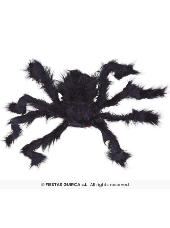 Aranha preta, 70 cm.