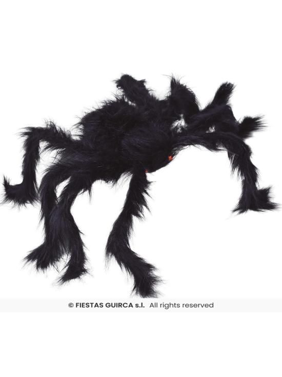 Aranha preta, 70 cm.