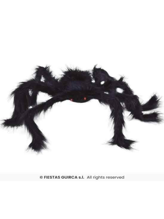 Aranha preta, 70 cm.