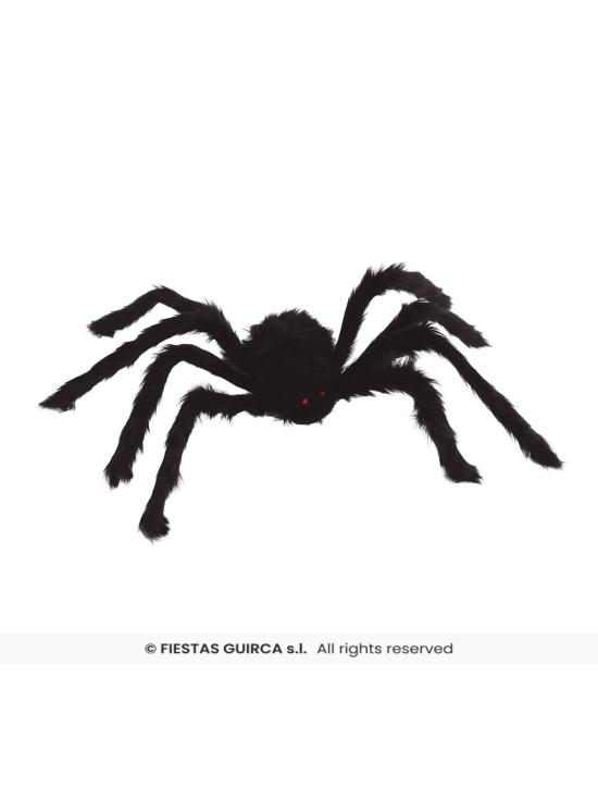 Aranha preta, 70 cm.