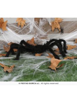 Aranha preta, 70 cm.