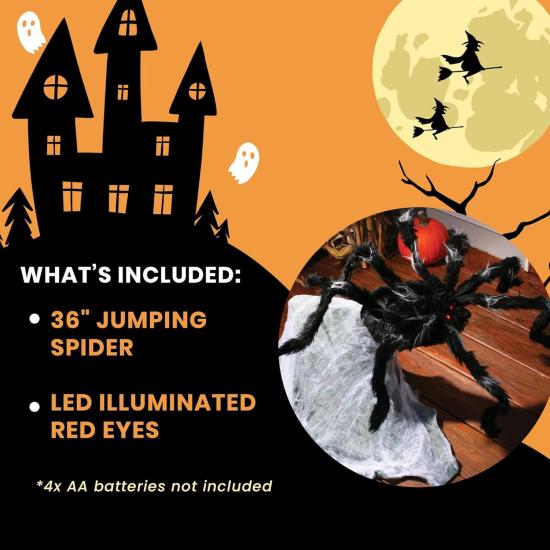 Aranha saltadora gigante (91 cm)