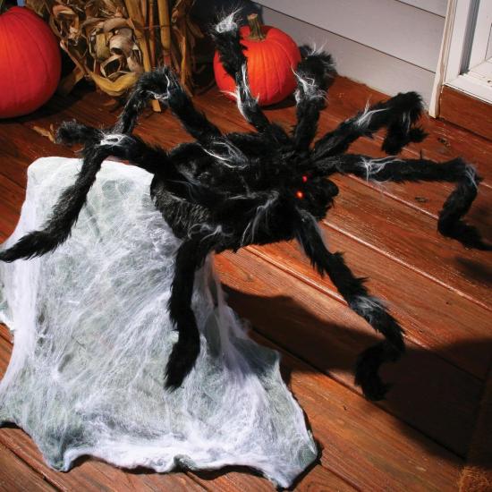 Aranha saltadora gigante (91 cm)