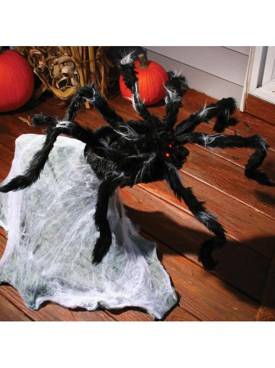 Aranha saltadora gigante (91 cm)