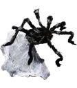 Aranha saltadora gigante (91 cm)