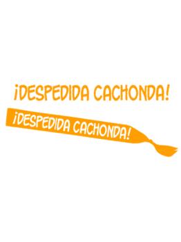 Banda 100 Tesão Despedida Cores Sortidas