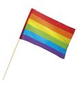 Bandeira Arco-Íris 30 x 45 cm + Mastro Banera 76 cm