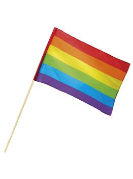 Bandeira Arco-Íris 30 x 45 cm + Mastro Banera 76 cm