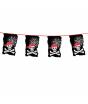 Flâmulas Caveira Pirata 10 m
