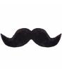 Bigode do Mário Bros.