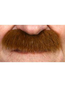 Bigode castanho espesso