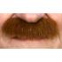 Bigode castanho espesso