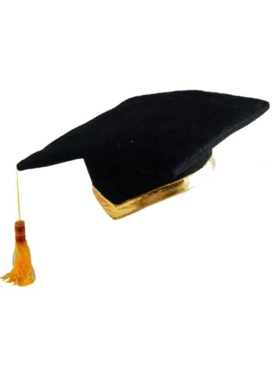 Chapéu de formatura infantil oficial em feltro – Chapéu de formatura para crianças