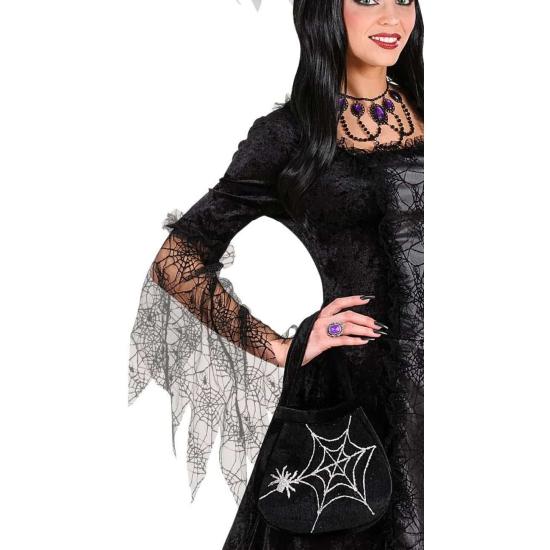 Saco de teia de aranha e aranha