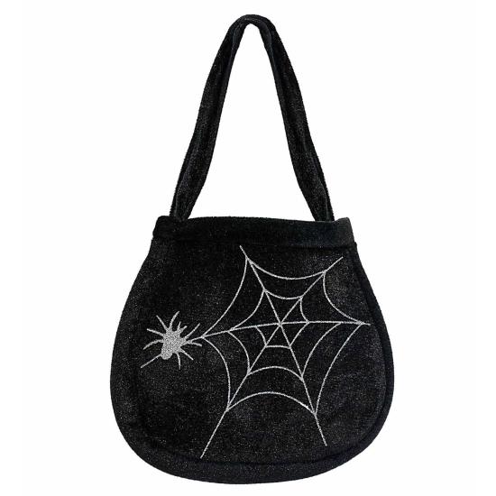 Saco de teia de aranha e aranha