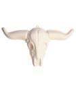 Crânio de búfalo 75 cm Modelo 3D