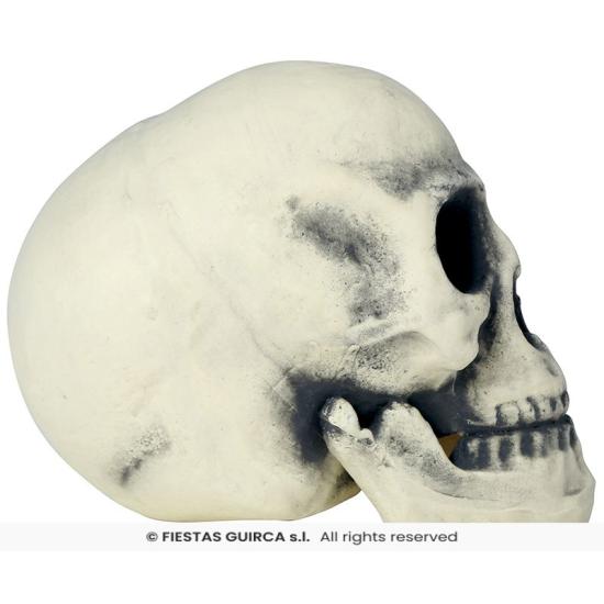 Caveira de Espuma 32 cm – Decoração Realista de Halloween