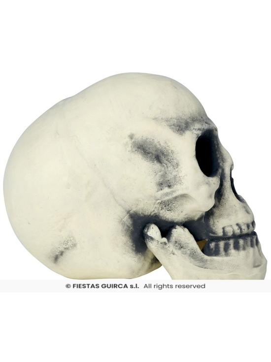 Caveira de Espuma 32 cm – Decoração Realista de Halloween
