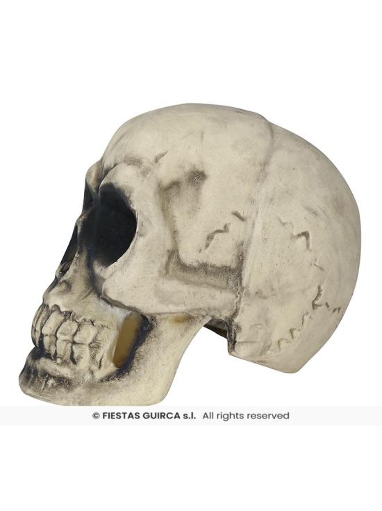 Caveira de Espuma 32 cm – Decoração Realista de Halloween
